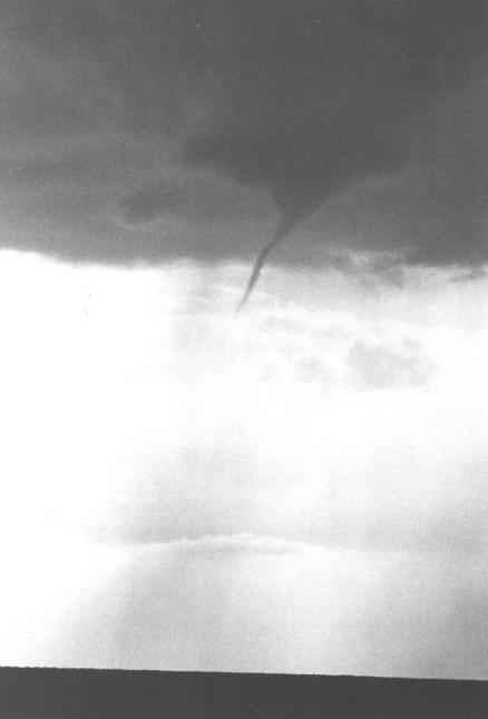 It's a Twister!